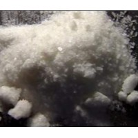 哪有賣N甲酸叔丁基酯去甲基 K他命