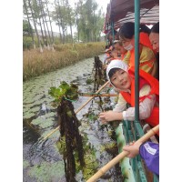 蘇州少兒自然探索憶童年采菱營(yíng)地教育研學(xué)旅行社會(huì)實(shí)踐課報(bào)名了