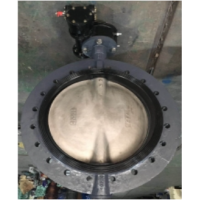 船用單法蘭軟密封蝶閥DN500