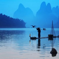 職業規劃師資格證怎么去報考？證書考下來能帶來哪些幫助？