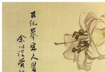 mysql查看刪除數(shù)據(jù)庫 |mysql invalid drive